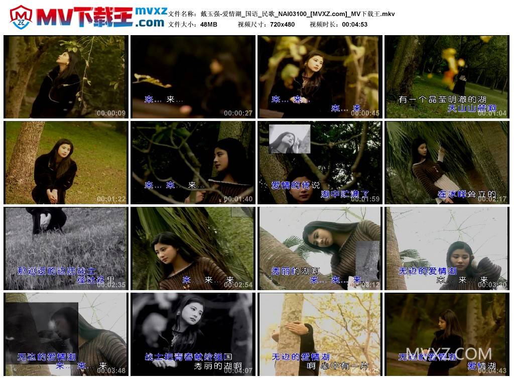 戴玉强-爱情湖_国语_民歌_NAI03100